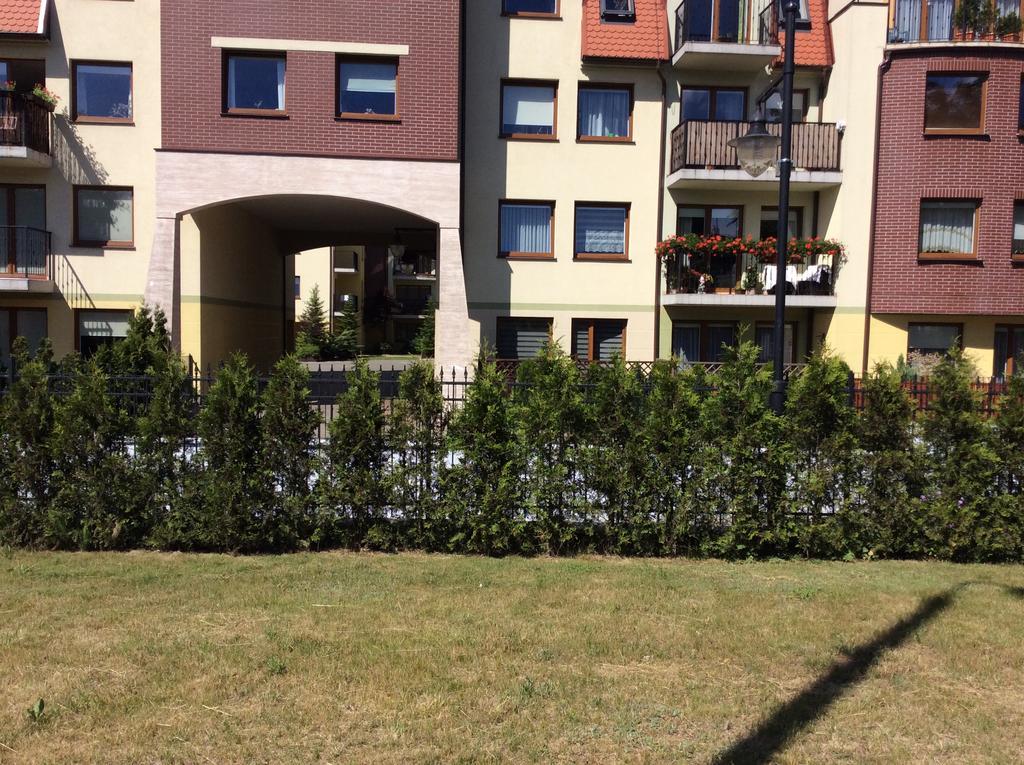 Apartament Bukowy เวย์แฮรอวอ ภายนอก รูปภาพ